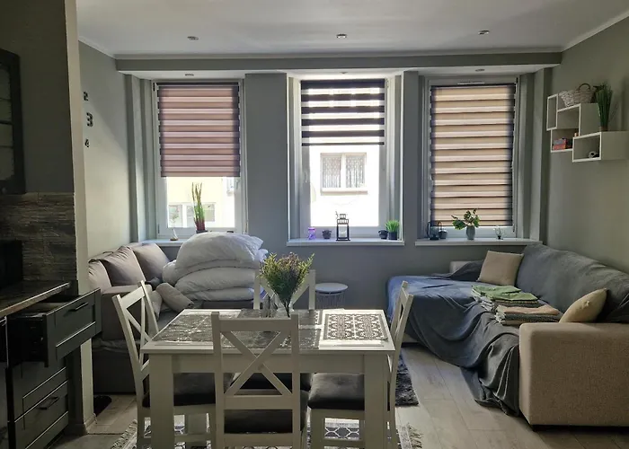 ,,Apartament W Dusznikach,,